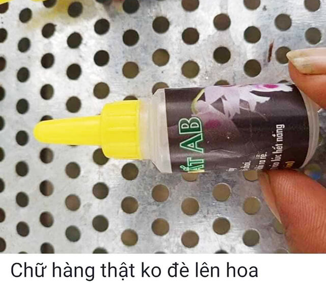 Dưỡng chất Ab cho cây phát triển rễ, đua ngọn khỏe