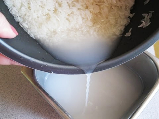 Tưới lan bằng nước vo gạo