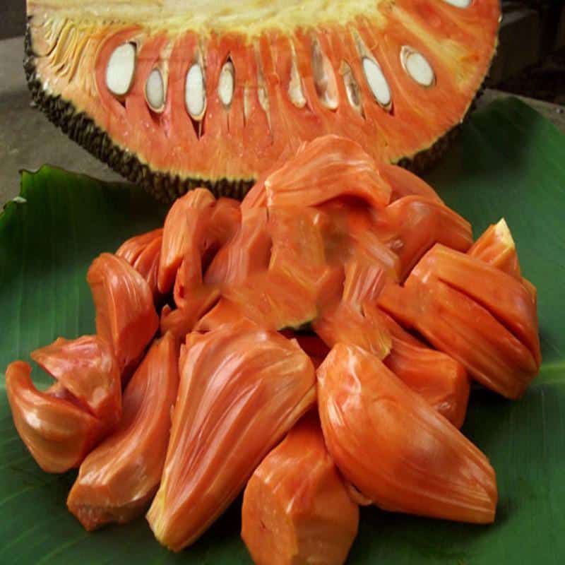 Giống cây Mít ruột đỏ